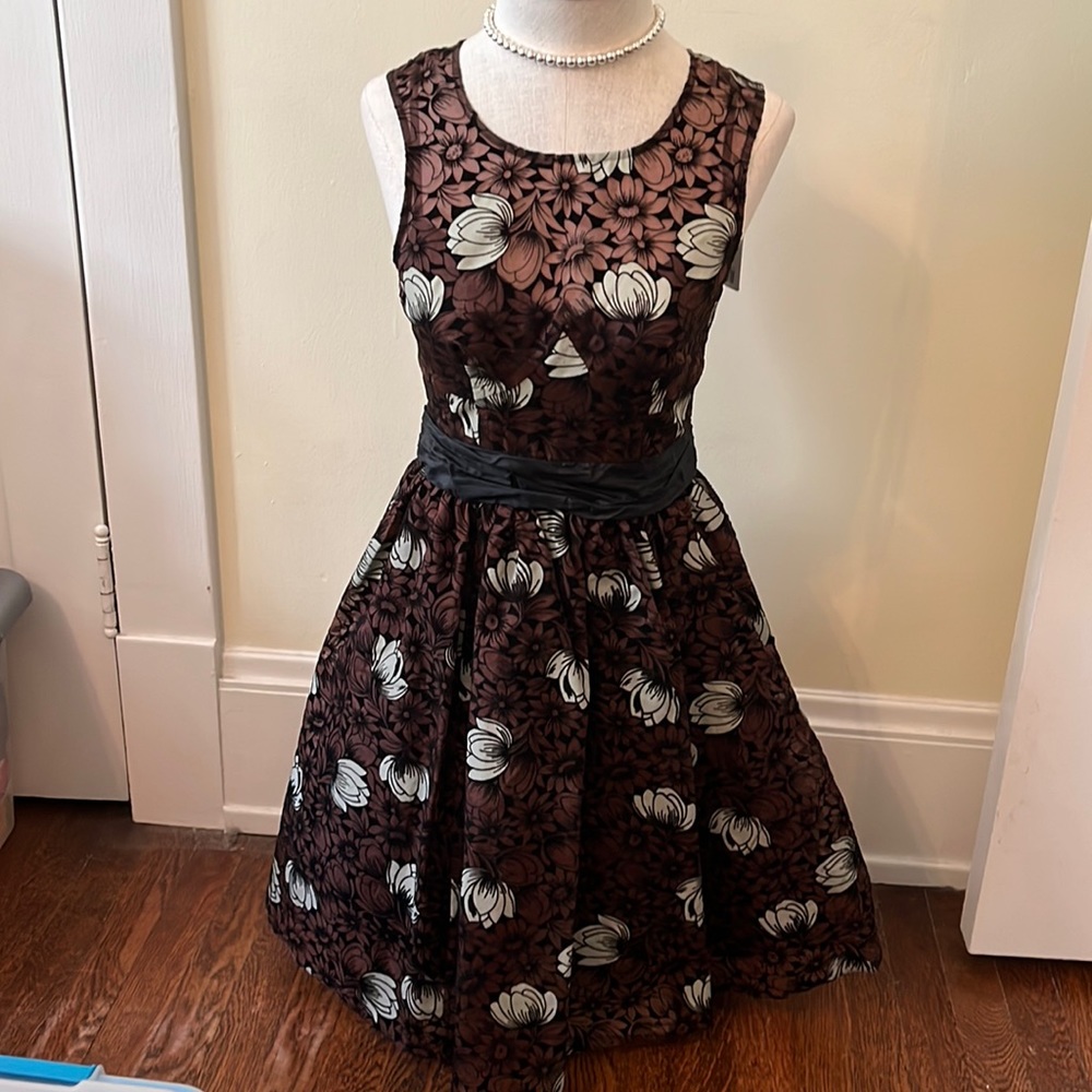 Beautiful New Dress bought at Anthropology